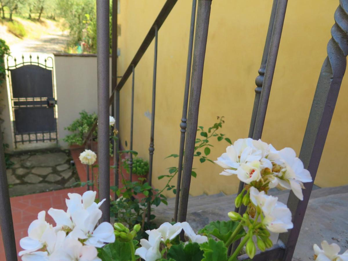 La Casa Delle Rose Villa Terranuova Bracciolini Exteriör bild